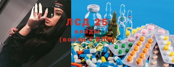 мяу мяу мука Алексеевка